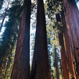 Meet your Posher, Mayra